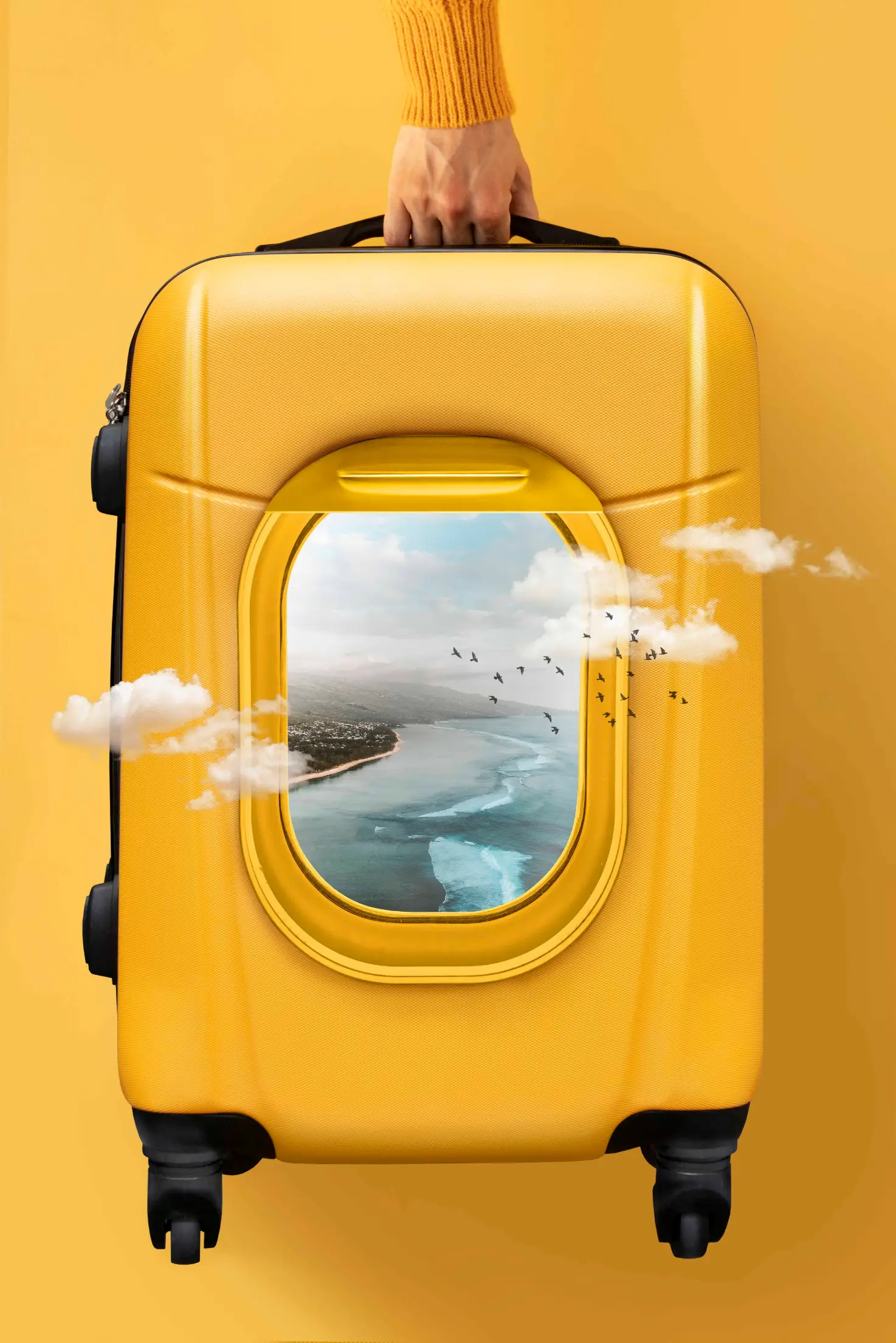 Tour luggage