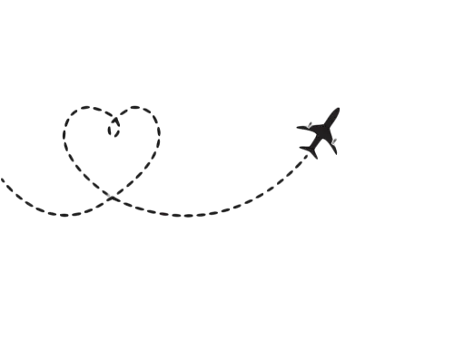 plane love