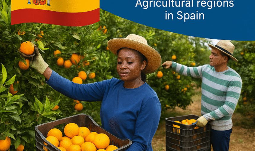 SEASONAL FRUIT PICKING JOBS IN SPAIN